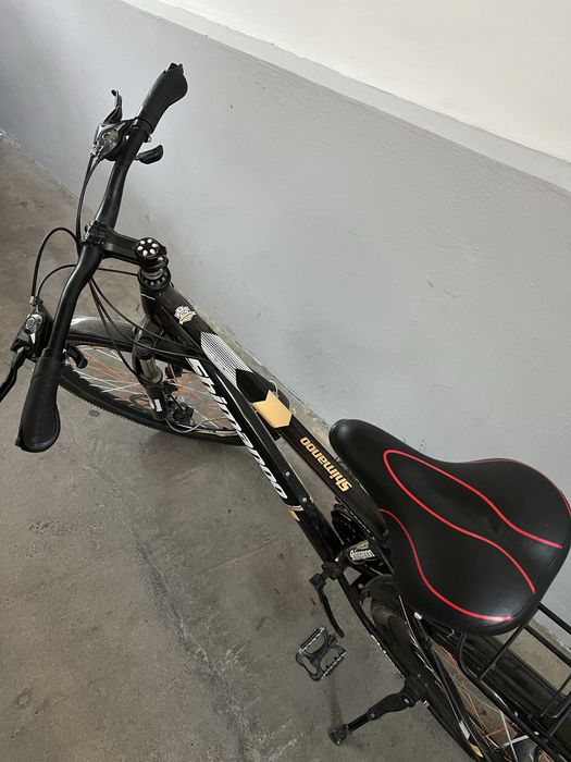 Velosaped pachti yengi kop haydalmagan xichqati sinmagan