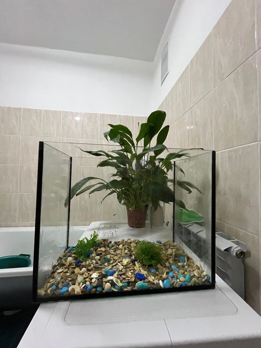 Продам аквариум 25 литров