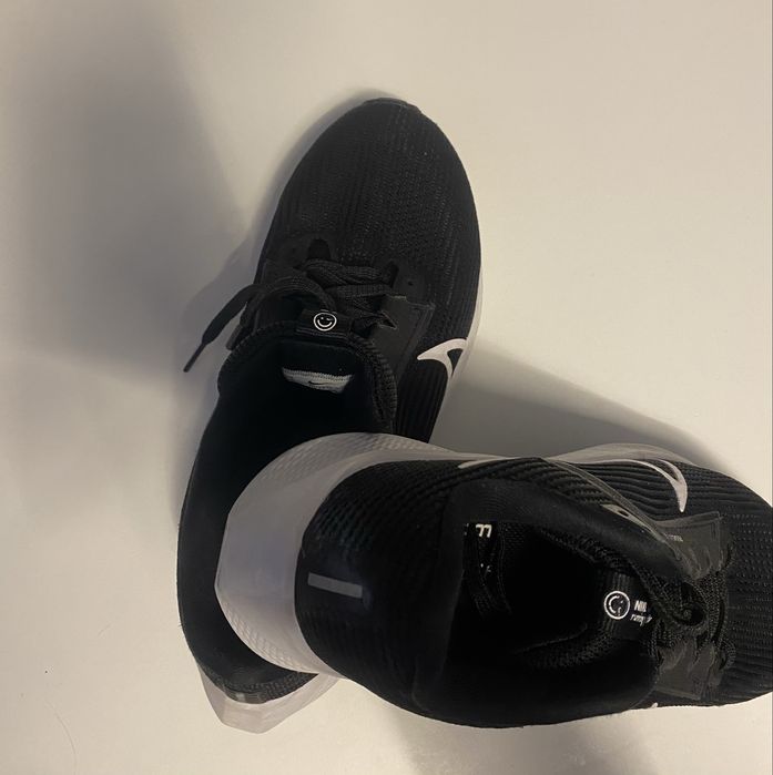 Adidasi nike pegasus