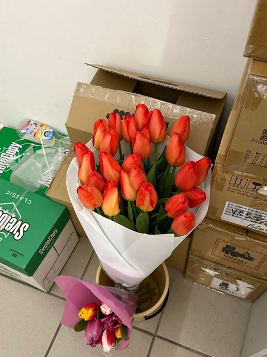 Тюльпаны 80см оптом и в розницу