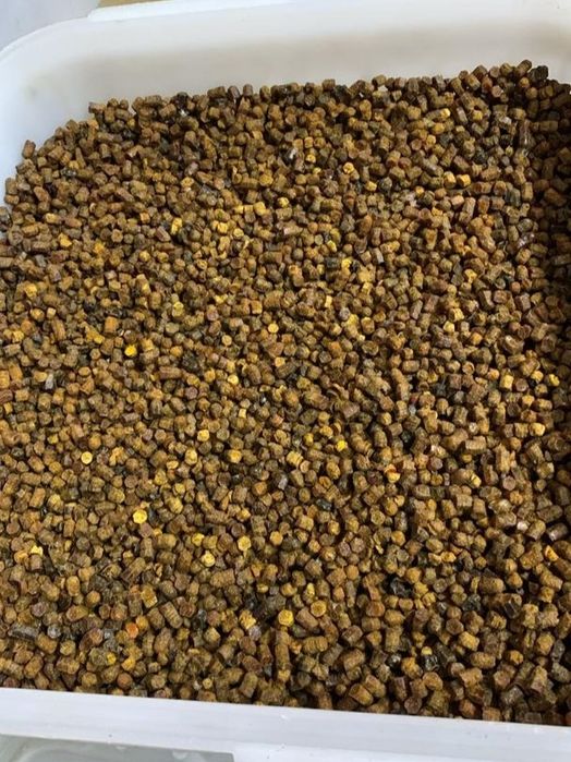 ПЕРГА свежайшая [хлебина пчелиная]