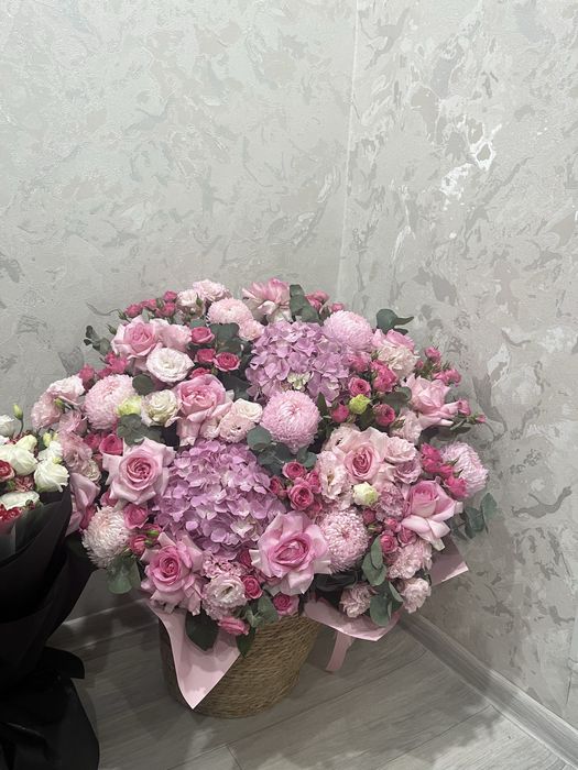 Продам цветы красивые