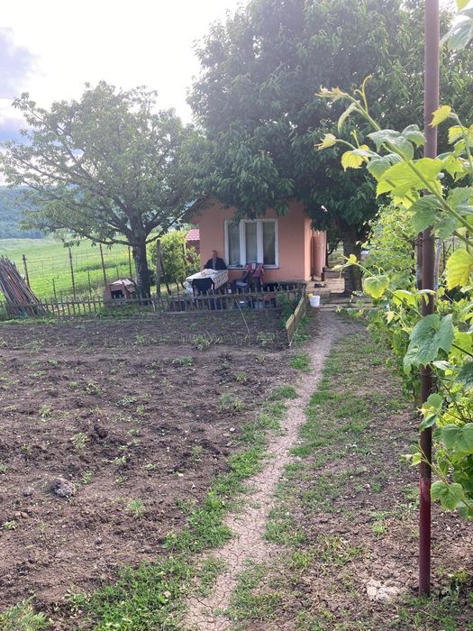 Teren de vanzare