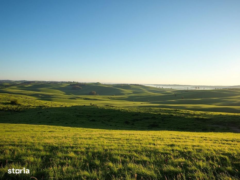 Vanzare Teren Extrav. Arabil, Pășune Chesint, Zabrani 1ha - 48.86ha