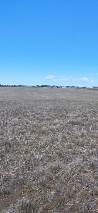 Vând Teren zona Selgros - Preajba