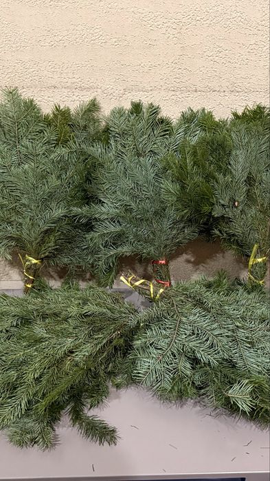 Пихтовые Веники для Бани