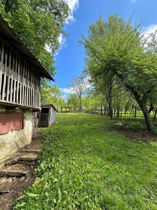 Vand casa in Jud Prahova 2800mp