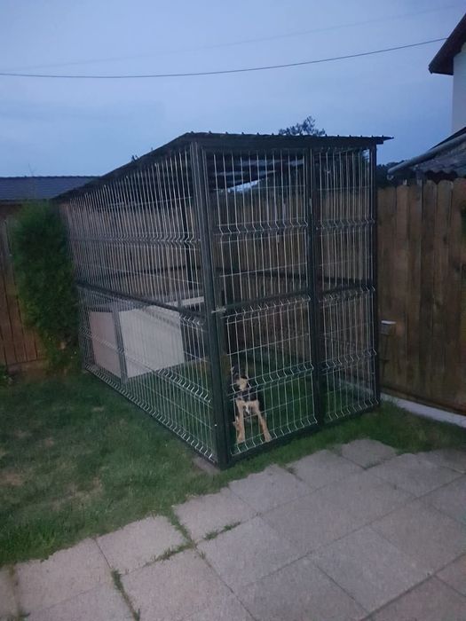 Vand tarc pentru caini si alte animale