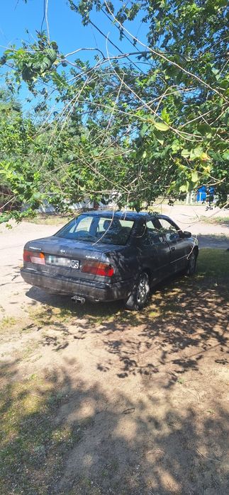 продам Nissan Primera