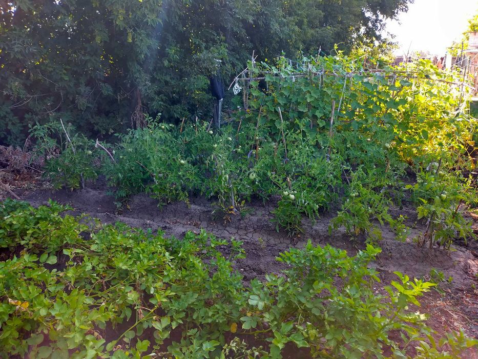 Продам дачу в черте города (район гипермаркет Анвар)