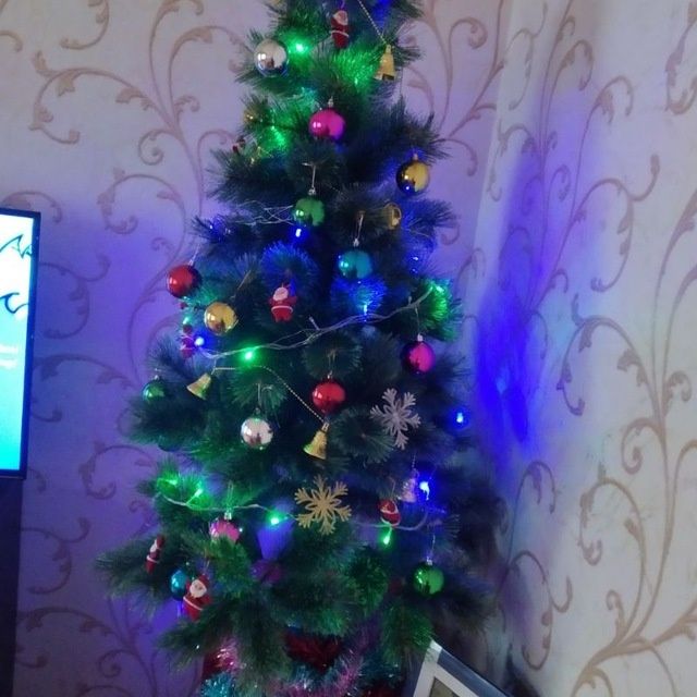 Archa 1,5metr, kotta yulduzchasi, grland va oyinchoqlari bn sotiadi