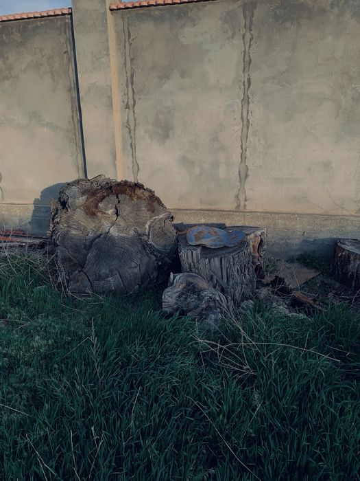 Продаются дрова!