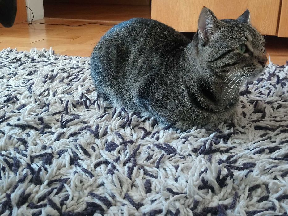 Продавам килим от чиста вълна