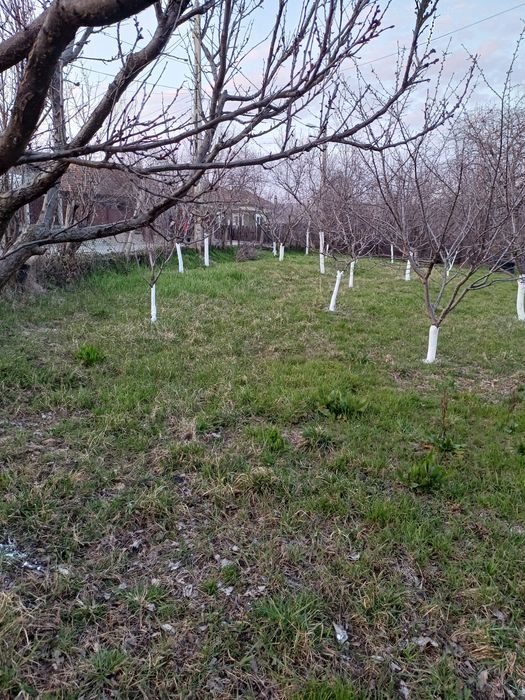 Teren intravilan de vânzare