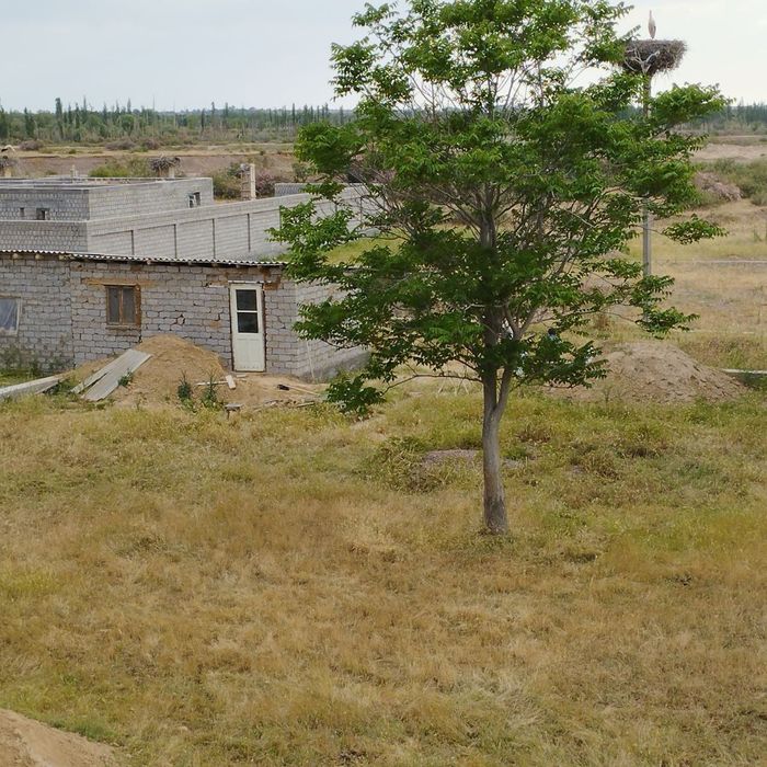 Пискент туманида 6 сотих кадастрли ер  сотилади