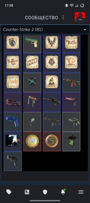 Инвентарь кс-2 Стим продам