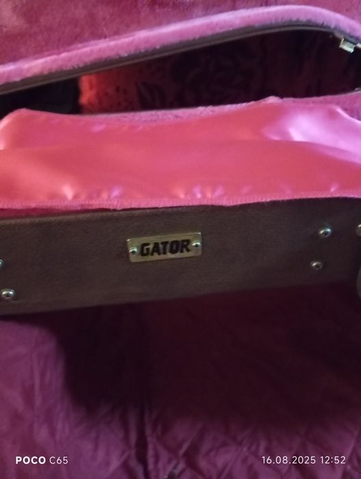 Кейс для электрогитары и электрогитара