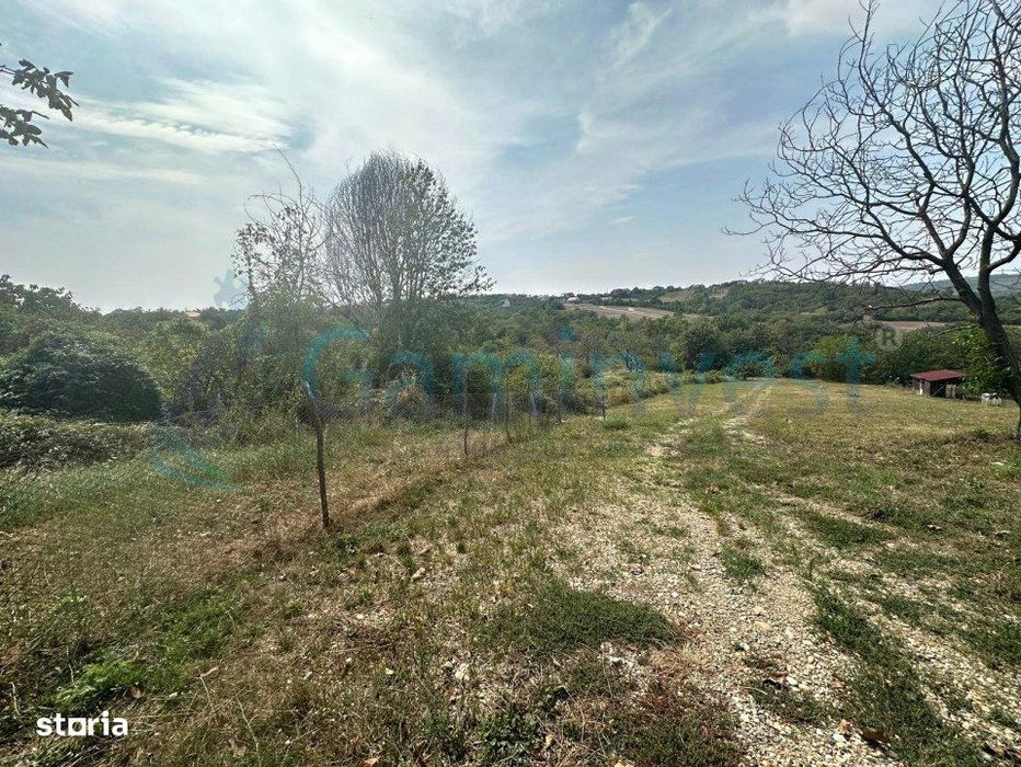 Parcele de teren, 1 min de Gh Doja,Saldabagiu de Munte,Gaminvest,V3752