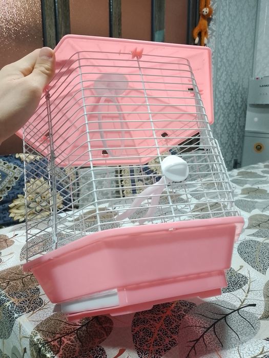 Kletka qafas qush uchun