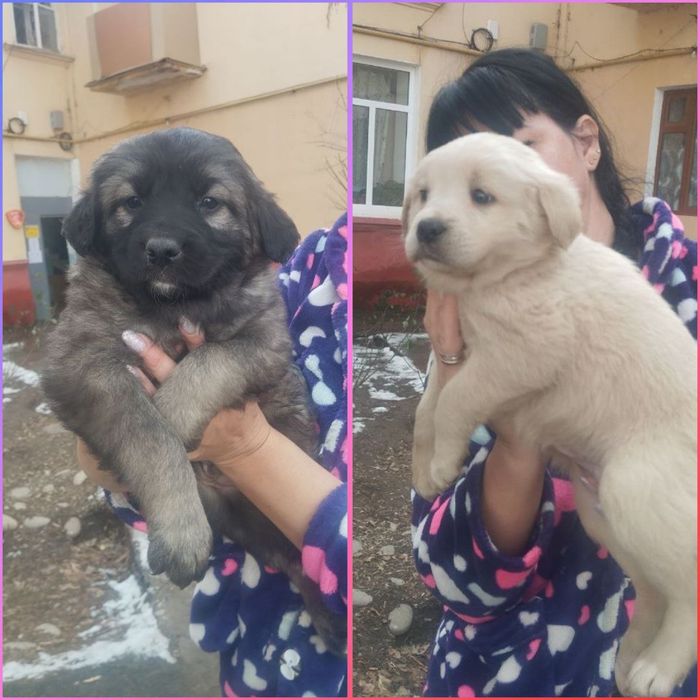 Малышам очень нужен дом и семья!