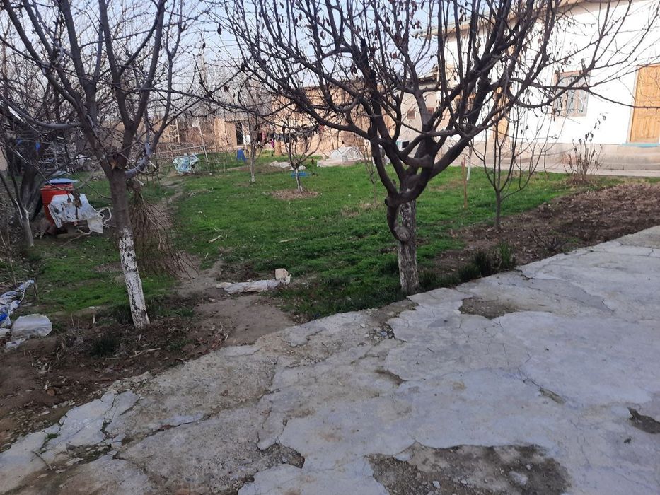 Тошми постидан 10км ичкарида Октом махалласида 8сотих уй