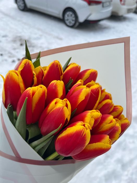 Тюльпаны премиум класса к 8 марта!