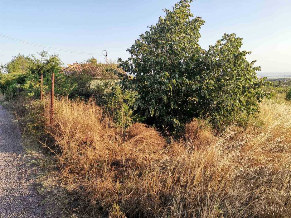 Продава се Парцел в Бургас, Меден рудник - зона В - 1000 кв.м за 24 €/кв.м - Снимка #1