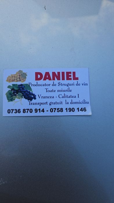 Vând struguri de vin