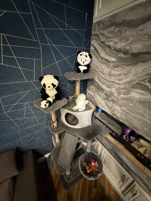 Когтеточка для Кошек