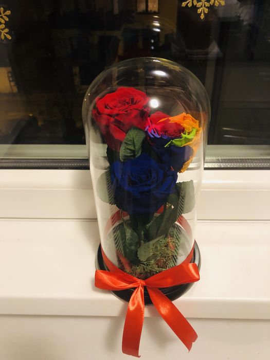 Cupola cu trandafir criogenat conservat