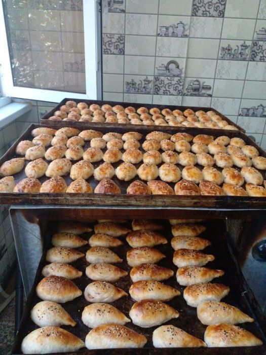 Elektricheskiy duxovka. 220v