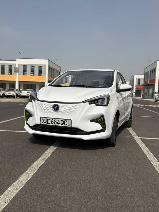 changan ben ben 300 km Elektir