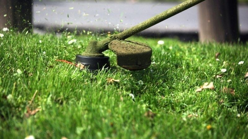 Покос травы триммером