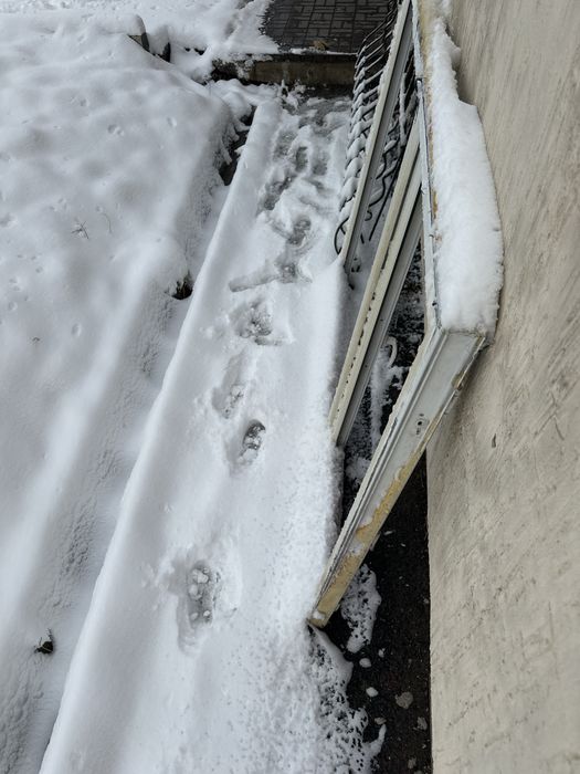 Б/у стеклопакеты