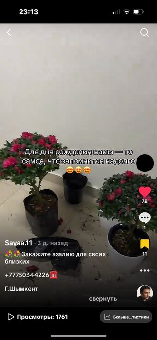 Азалия гул ұзаққа сақталатын