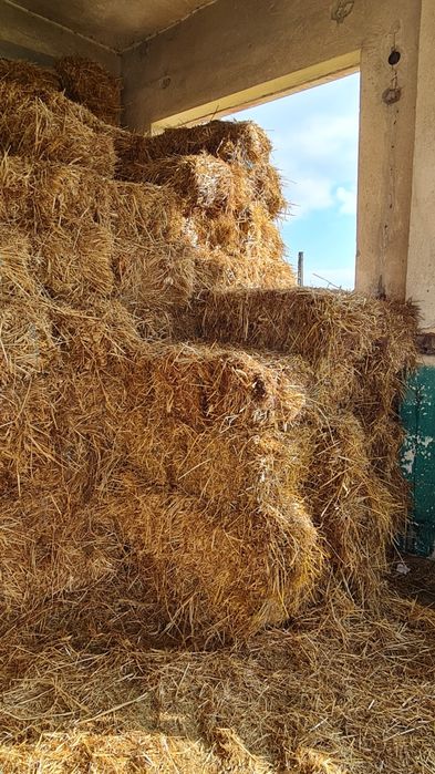 baloti de lucerna+ovăz