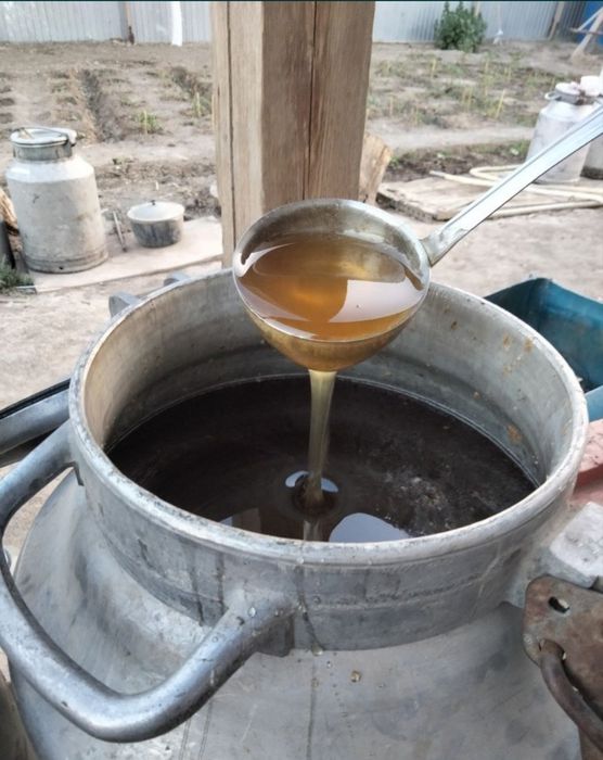 Мед натуральный (Бал)