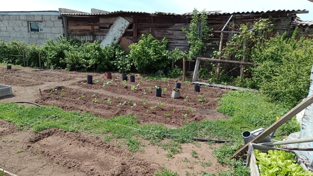 Продам частный дом , село Мойылды 18 соток, 10 км от города - Ansicht 4