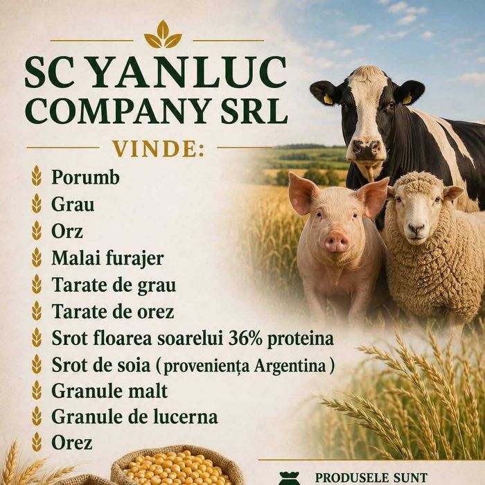 tarate de grau calitate superioara
