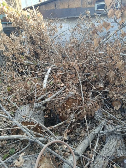 Отдам драва бесплатно