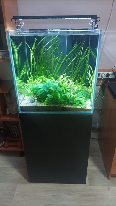 Аквариум 125 литров