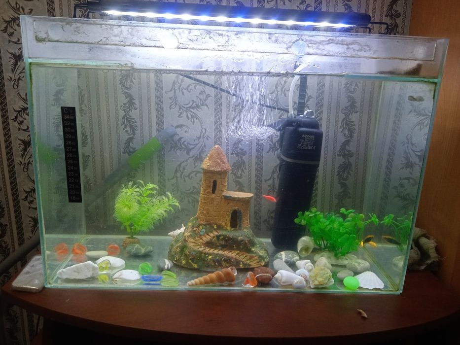 Продам аквариум с рыбками 30 литров,