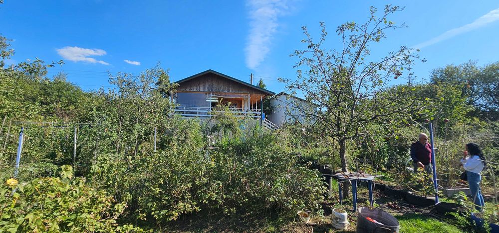 Продава се Къща в с. Бабица, Област Перник - 70 кв.м за 786 €/кв.м - Снимка #15