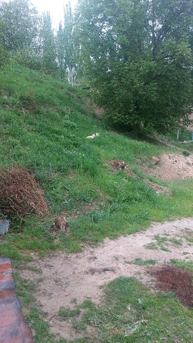 Oqtoshda yer sotiladi