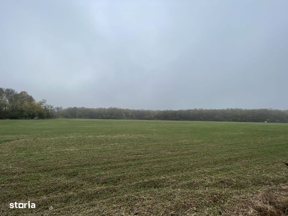 9400 mp | Ideal pentru investitie | Tunari | Deschidere la padure