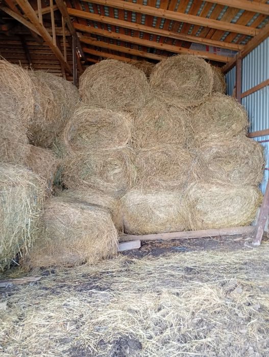 Baloti rotunzi semănătură