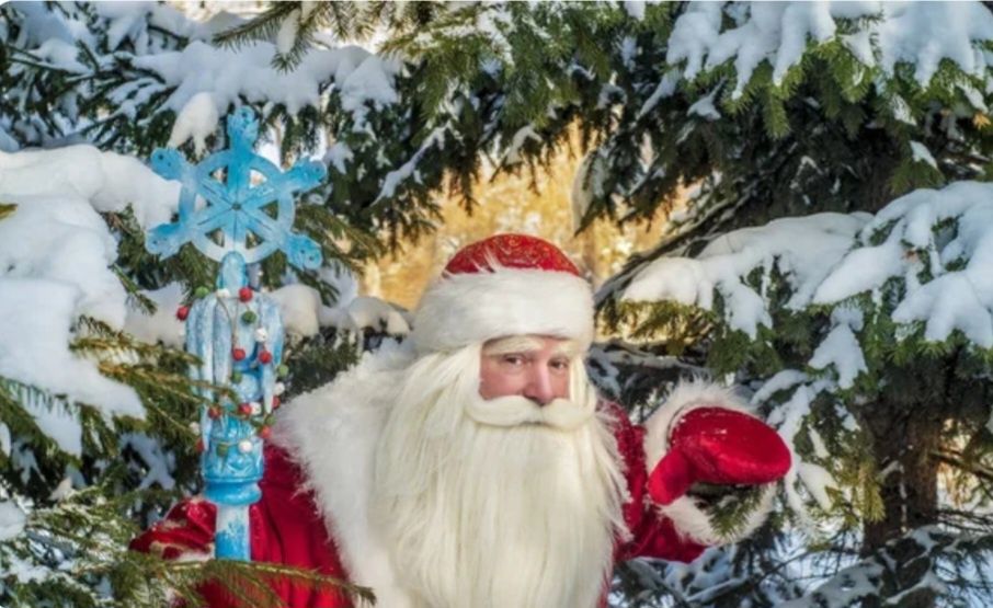 Дед Мороз и Снегурочка