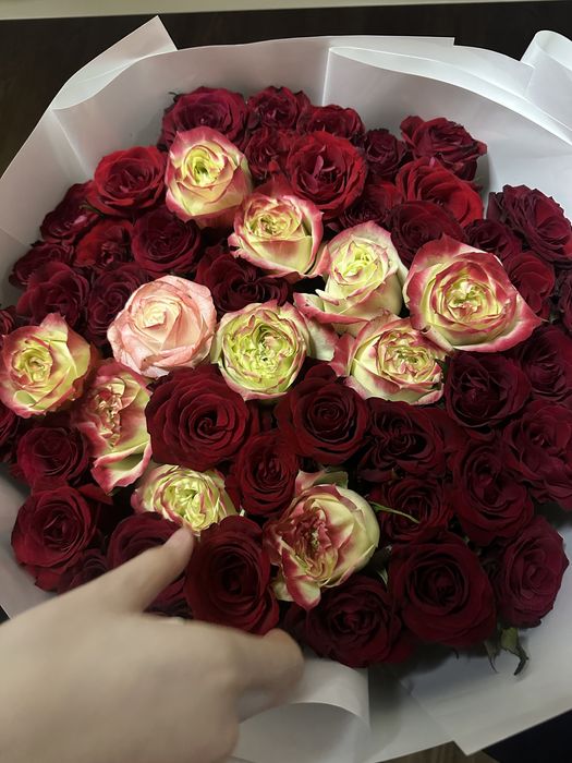 Цветы с первой буквы 51 роза