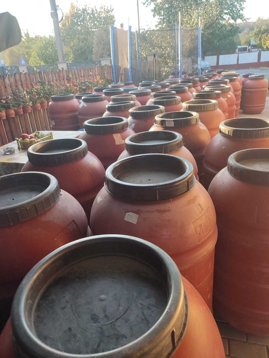 Castraveți murați in saramură