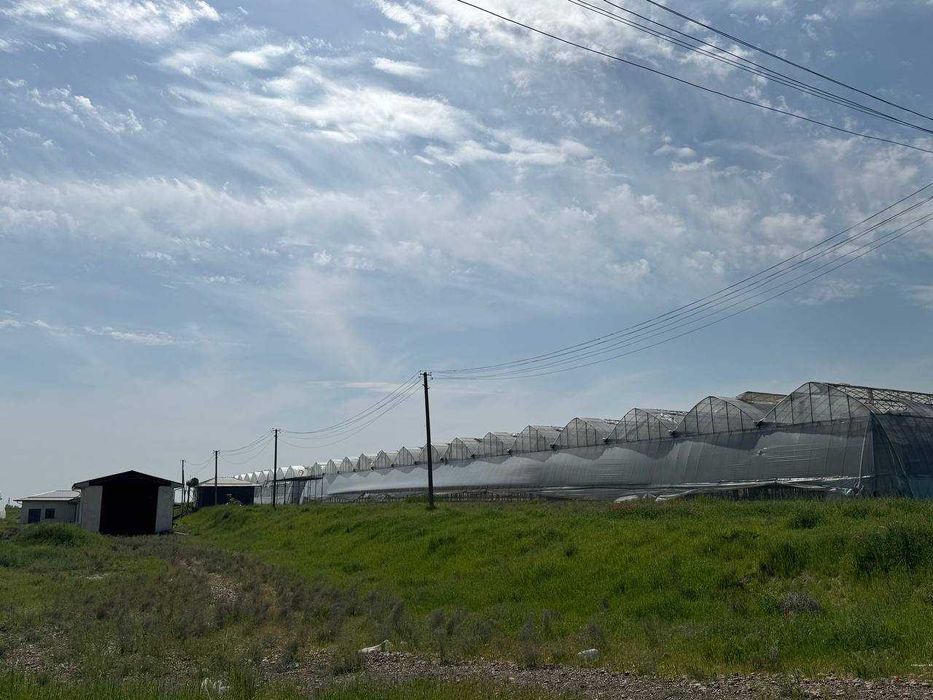 ISSIQXONA (4 GEKTAR) IJARAGA\Теплица 4 га в аренду